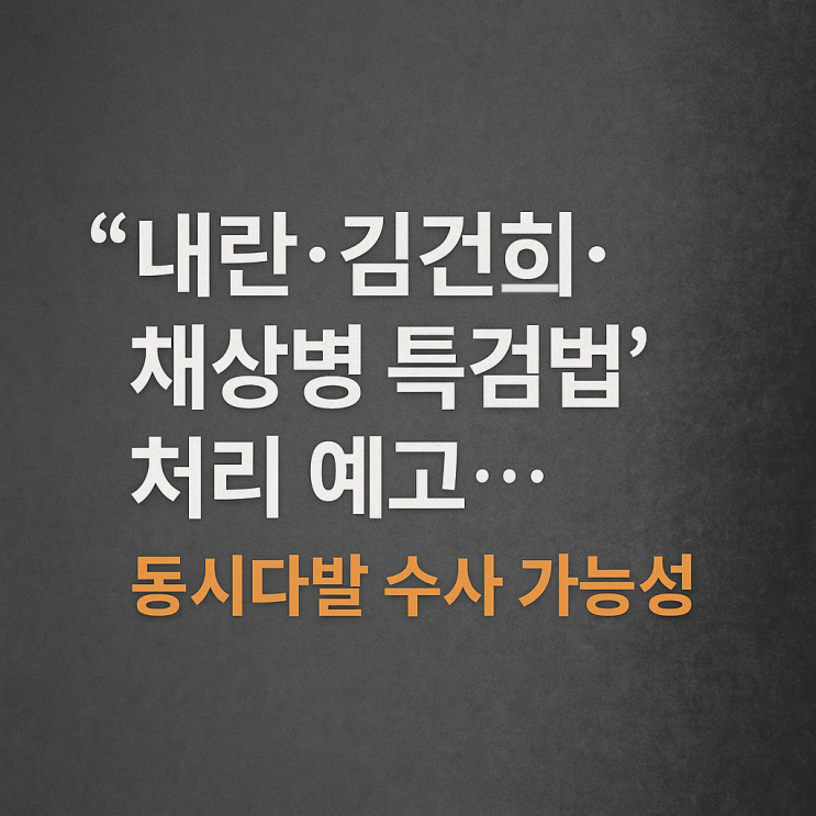 <b>김건희</b>·채상병 <b>특검</b>법’ 처리 예고정국 흔드는 동시다발 <b>수사</b>... 