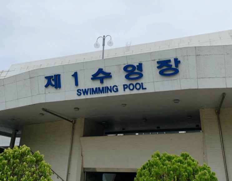  잠실 제1수영장 완전 분석: 서울 스포츠 허브의 심장, 그리고 미래 변화