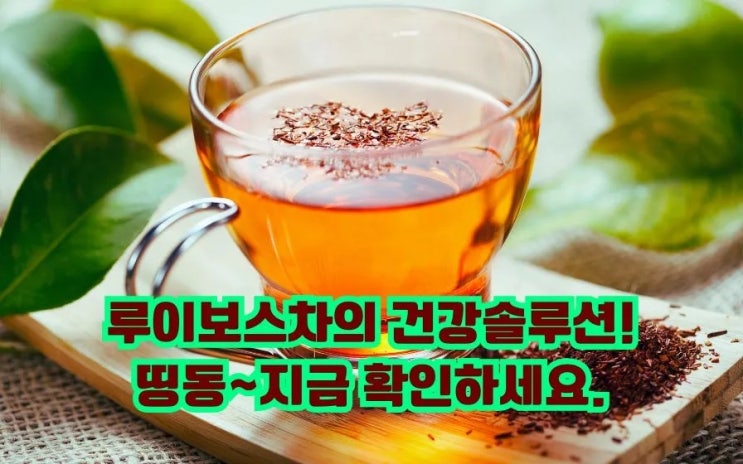  루이보스차 효능 루이보스티 티백 잎차 먹는법 보관법 부작용