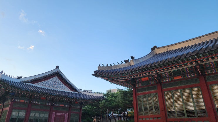 변호사생활 #345 : 변호사의 나라