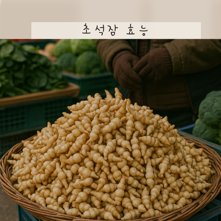 초석잠 효능 8가지! 염증완화부터 당뇨관리까지 도움되죠
