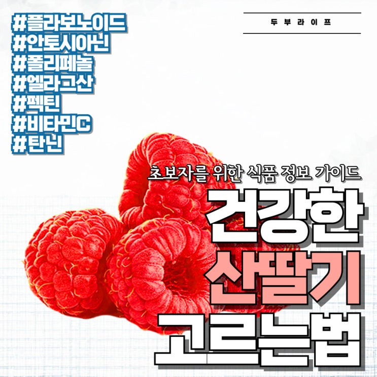  건강한 산딸기 고르는 법 #효능 #보관법 #폴리페놀 #안토시아닌 #플라보노이드