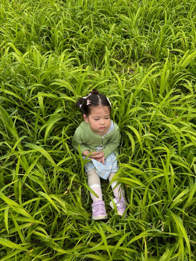 주말 일상 / 운정 건강공원, 샤브올데이 동패점, 키키 키즈카페, 정발산 홈플러스 주말 일상 / 운정 건강공원, 샤브올데이 동패점, 키키 키즈카페, 정발산 홈플러스