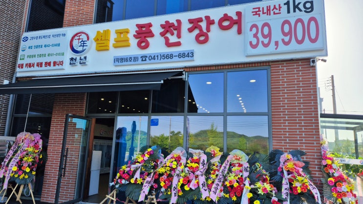  천안장어 맛집 천년풍천장어 구룡동장어, 청당동장어, 풍세장어 리뷰~ 셀프장어 부활했어요!