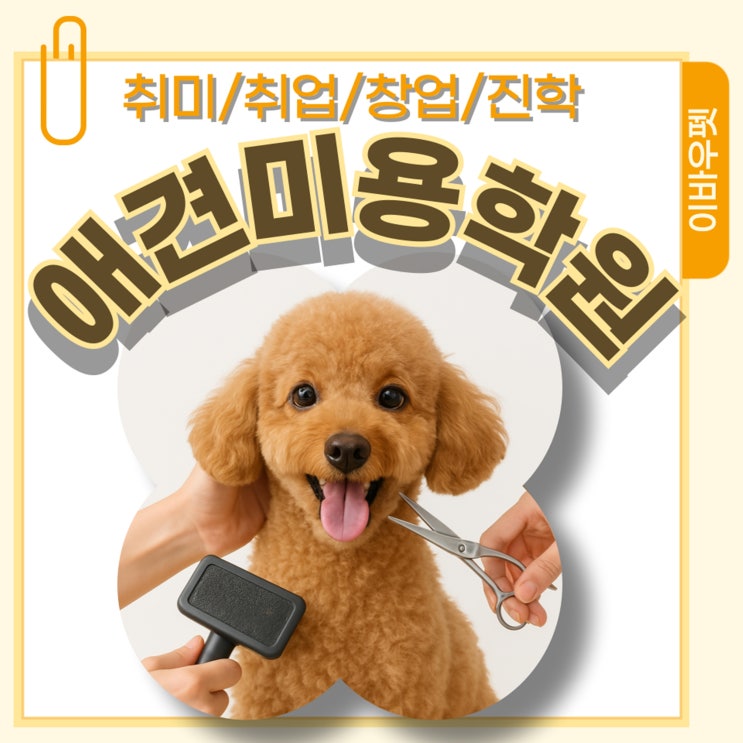 이바우펫 전국 16개 지점 보유한 대형 애견미용 아카데미