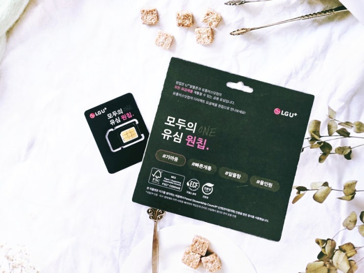  앤텔레콤 개통 LG선불요금제 신규접수 방법