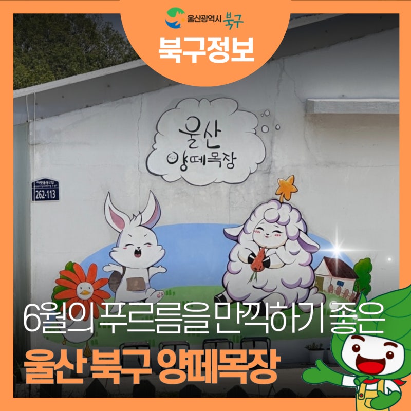 6월의 푸르름을 만끽하기 좋은 울산 북구 양떼목장으로 가요!