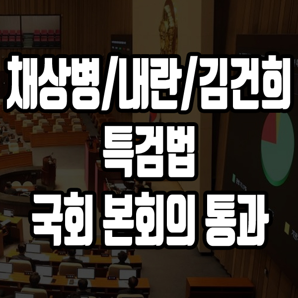채상병, <b>내란</b>, 김건희 특검법 <b>국회</b> 본회의 통과