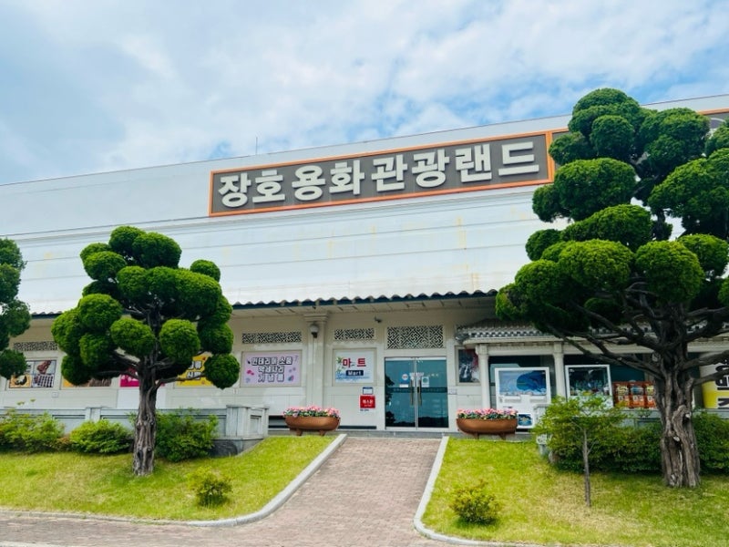 사진 10