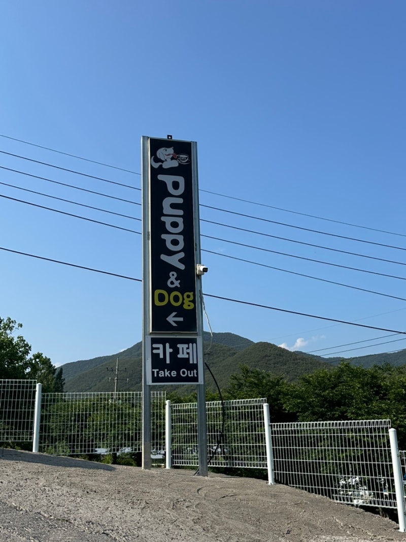 사진 2