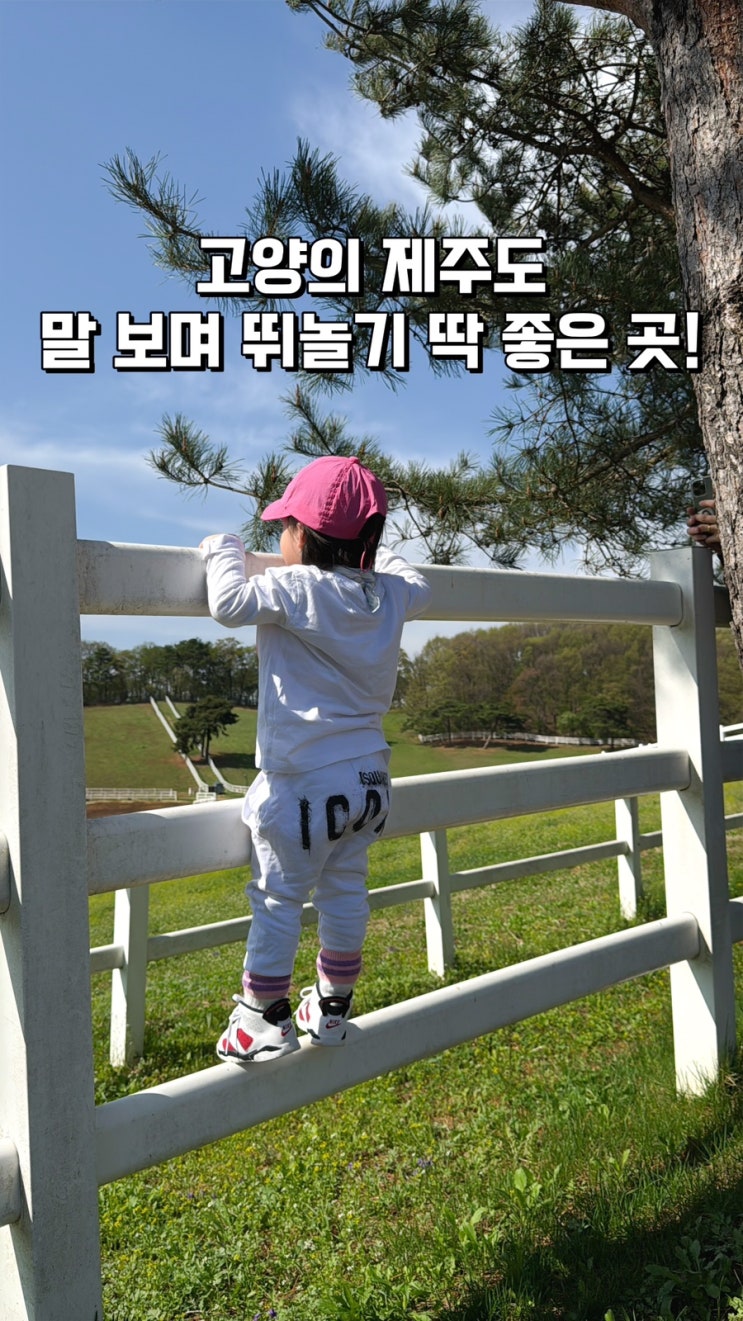  서울에서 1시간! 제주도 같은 초원 고양 원당목장 피크닉 후기