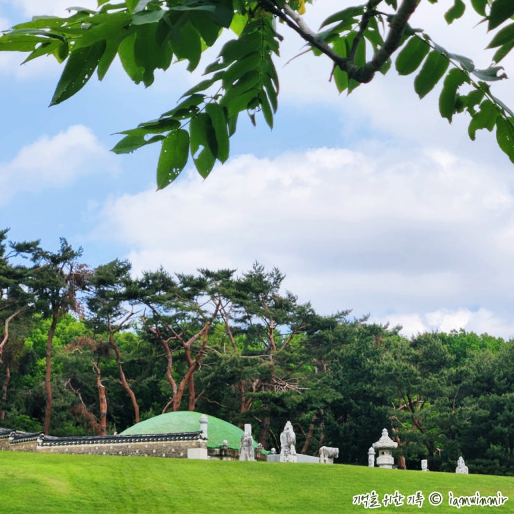 화성 융건릉 산책로 개방 화성 융건릉 산책로 개방