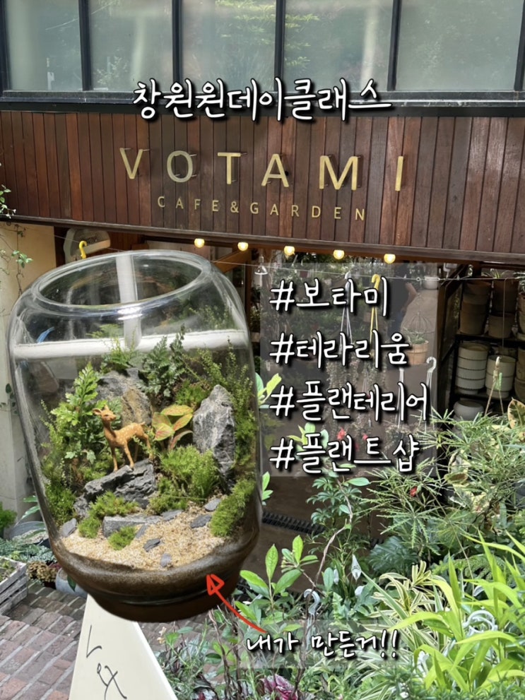  창원원데이클래스. 오늘부터 내 보물 1호 = 보타미에서 만든 테라리움