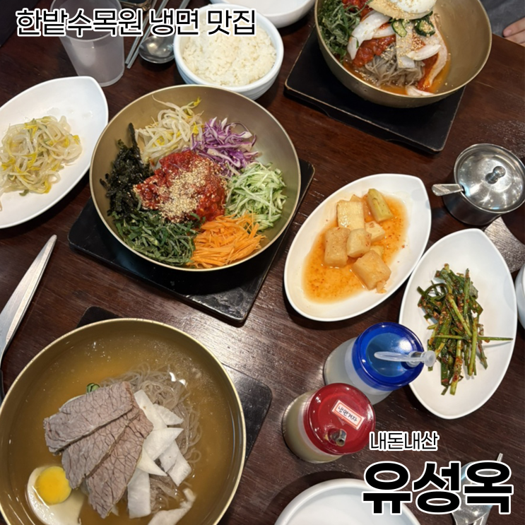  한밭수목원 근처 냉면 맛집을 찾는다면 유성옥