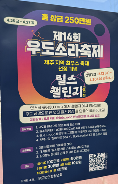  [제주] 우도 뿔소라 축제 솔직 후기 ~