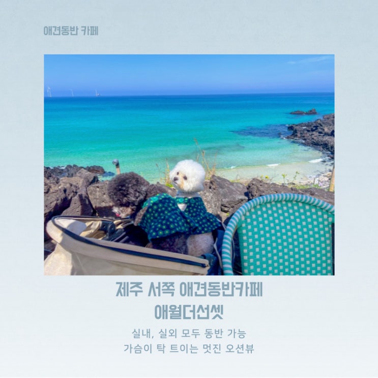  제주 서쪽 애견동반 가능한 오션뷰 카페 애월더선셋