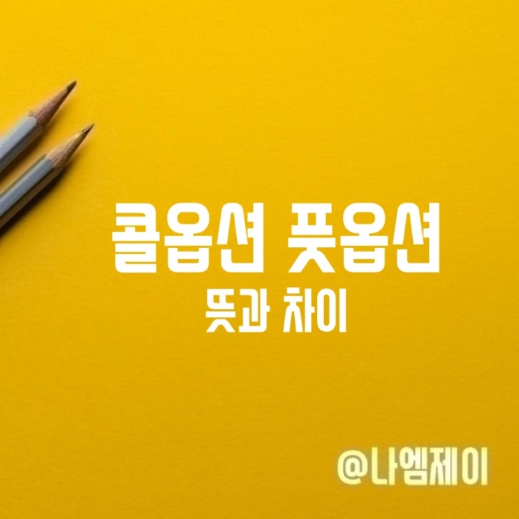 풋옵션 콜옵션 뜻과 차이 풋옵션 콜옵션 뜻과 차이