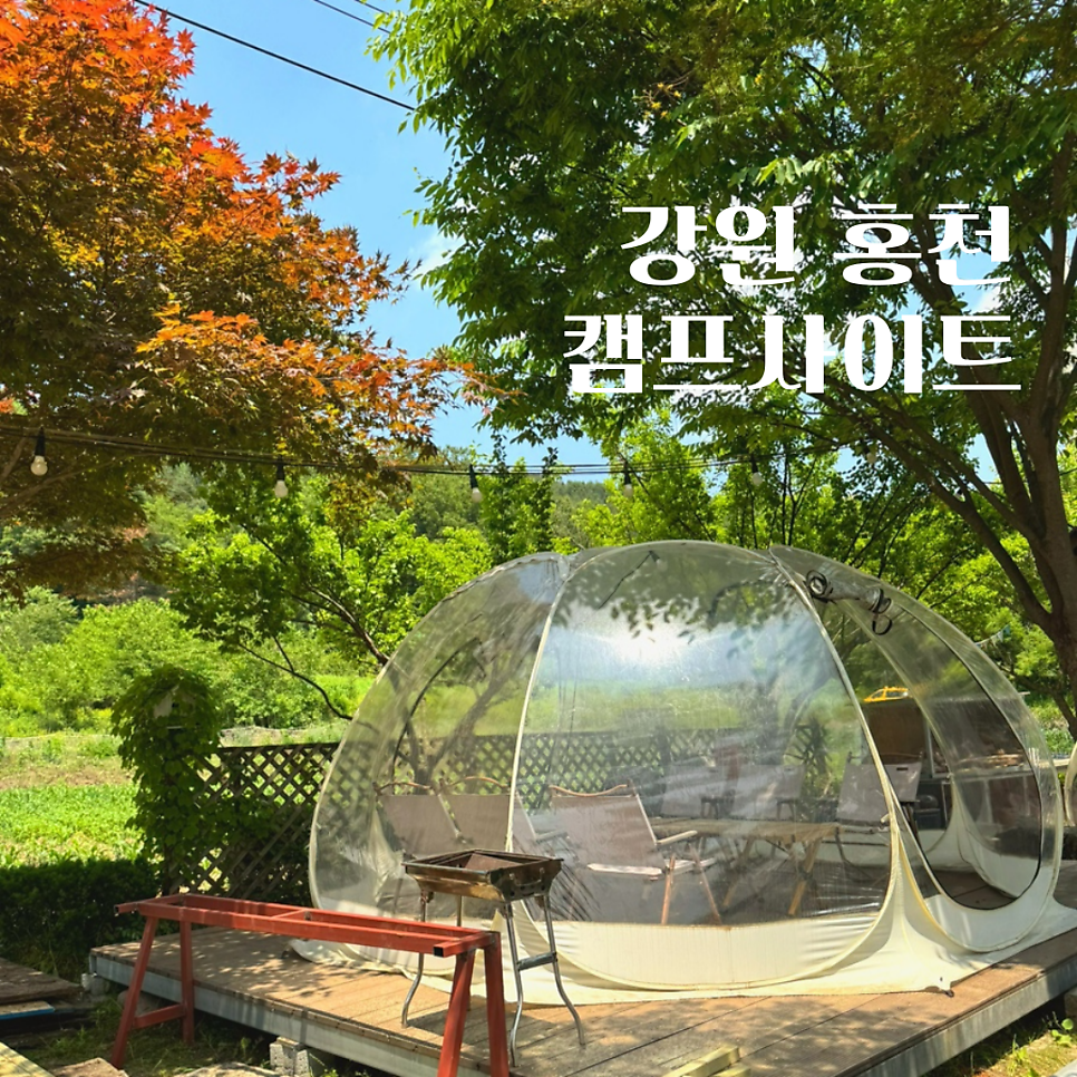 캠프사이트 사진 1