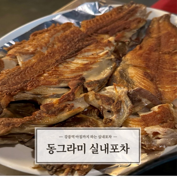  [동그라미실내포차] 강릉역 아침까지 영업하는 실내포차 추천