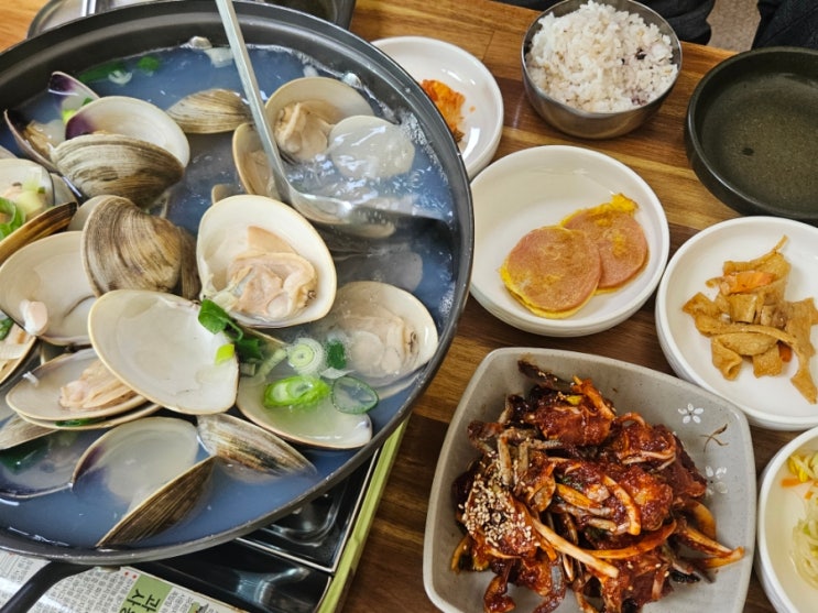 [신안::갯마을식당] 담백한 백합탕과 매콤달콤 꽃게무침이 있는 신안맛집