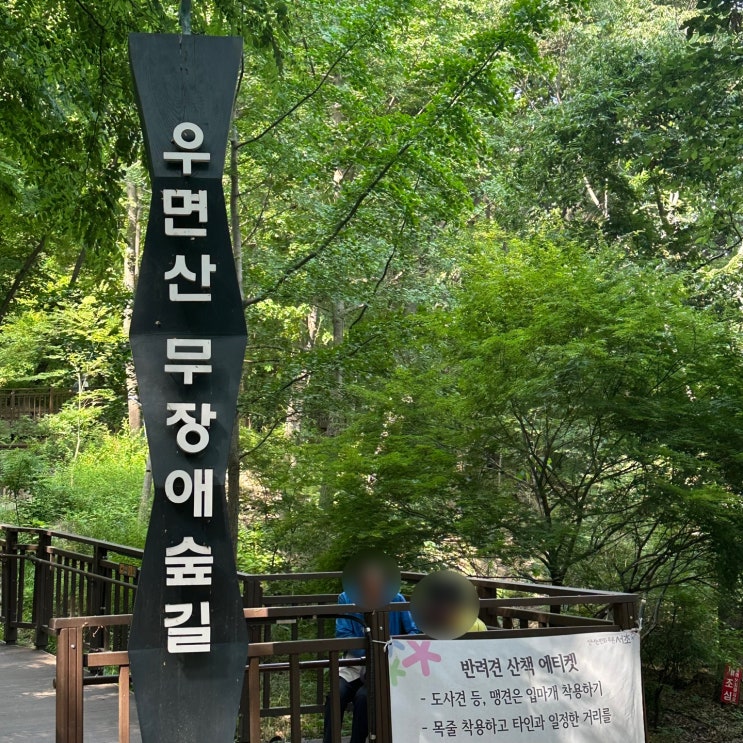   서초 우면산 둘레길 