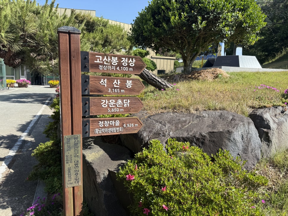 대동면사무소 사진 4