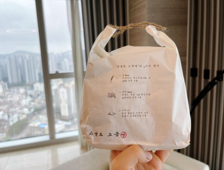  부산 기념품 고민 끝 해운대 자연도 소금빵 솔직 후기