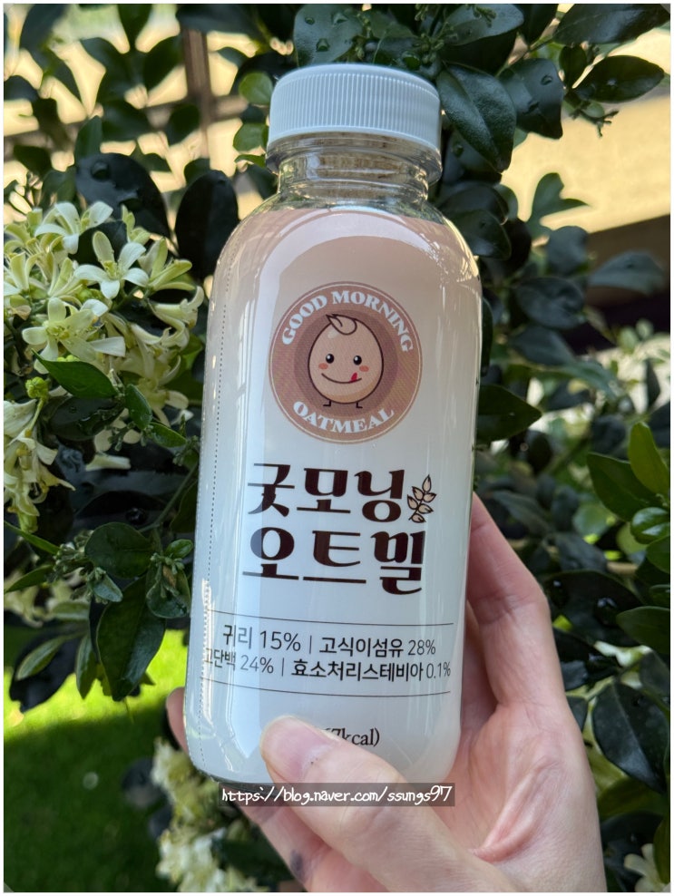  간편하게 아침 식사대용으로 좋은 굿모닝 오트밀 단백질쉐이크