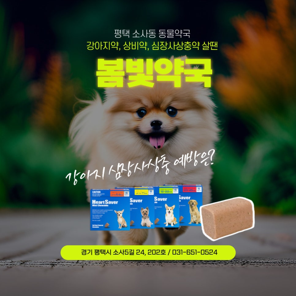 봄빛약국 사진 5
