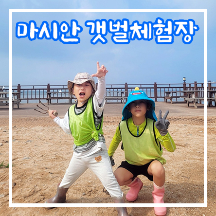  국내여행 인천 영종도 아이와 갈만한 조개잡기 체험 갯벌체험 마시안갯벌체험장 주차 준비물 명당자리 꿀팁 대방출
