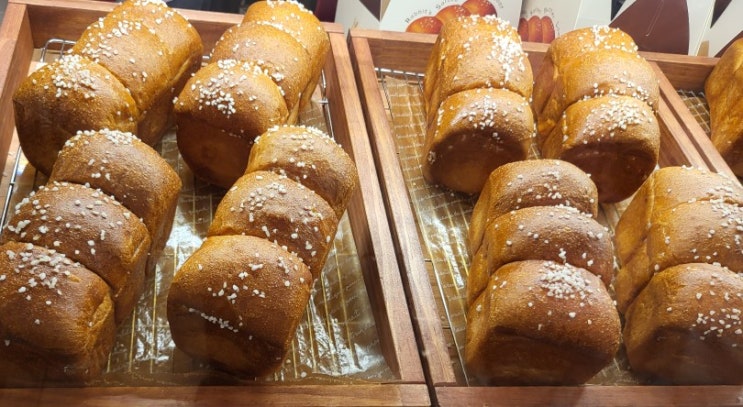  [해운대]600번 찧어서 만든 절구 소금식빵 신세계 팝업스토어 'Rabbit's 래비츠'