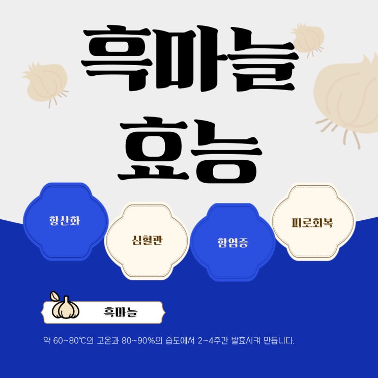  흑마늘 효능 효과 과학적 근거로 알아보는 놀라운 변화