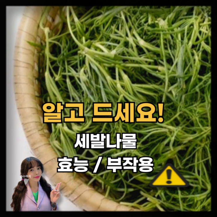  세발나물 효능 및 부작용 알고 드세요
