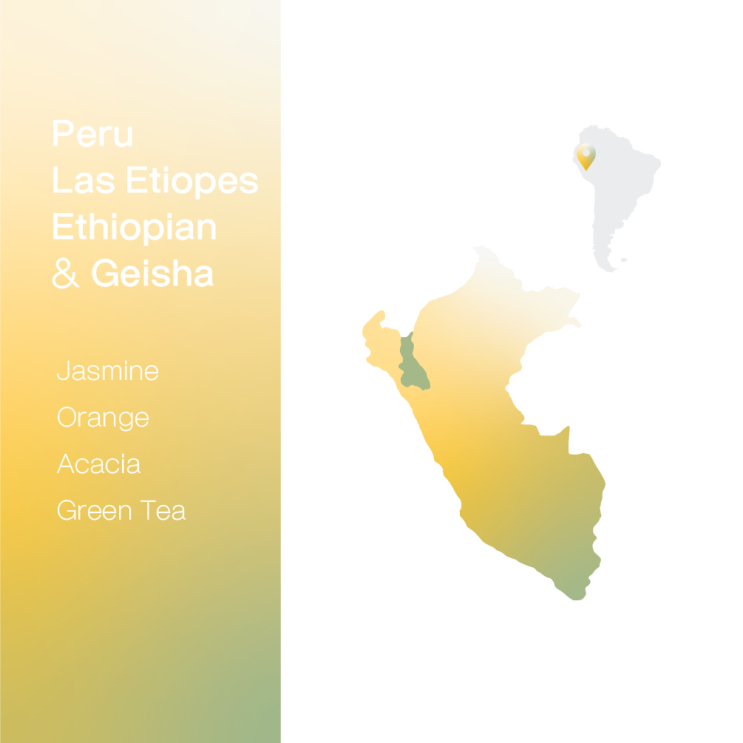  [생두 & 로스팅 리뷰] - 페루 라스 에티오페스 에티오피안 & 게이샤 워시드 - Peru Las Etiopes Ethiopian & Geisha Washed