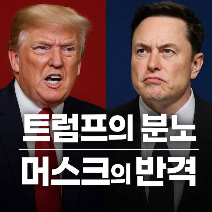 《브로맨스의 <b>파국</b>: <b>트럼프</b>와 <b>머스크</b>, 그리고 207조 증발의 날》