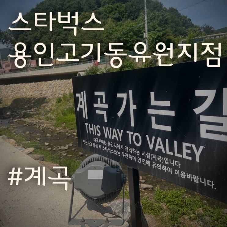 용인 고기리 프라이빗 계곡 스타벅스 방문기