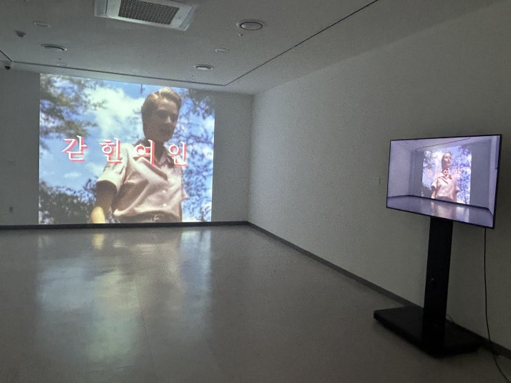  동대문구 답십리 기획전시 <카메라에 잡아먹힌 사람들> 리뷰