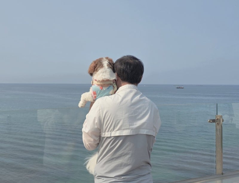 사진 6