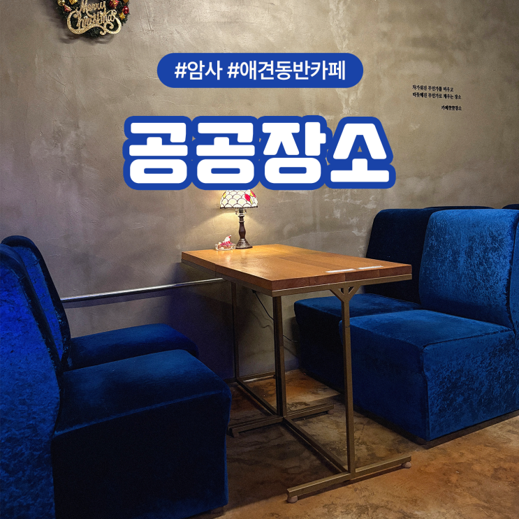  강동구 암사동 애견동반 가능한 감성카페 공공장소