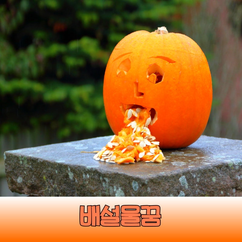 배설물꿈 토하는 사례별 배설물꿈 해몽