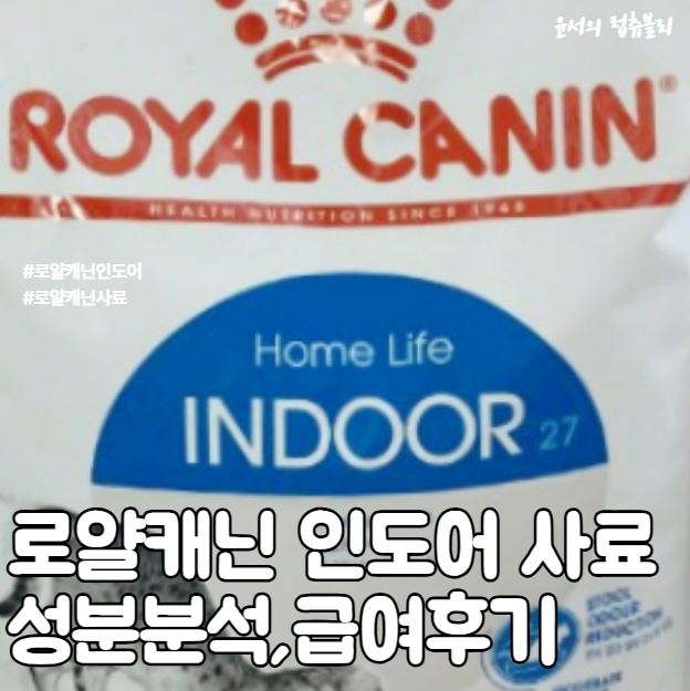 고양이 건강을 위한 로얄캐닌 인도어 : 기호성, 소화력, 헤어볼 억제까지