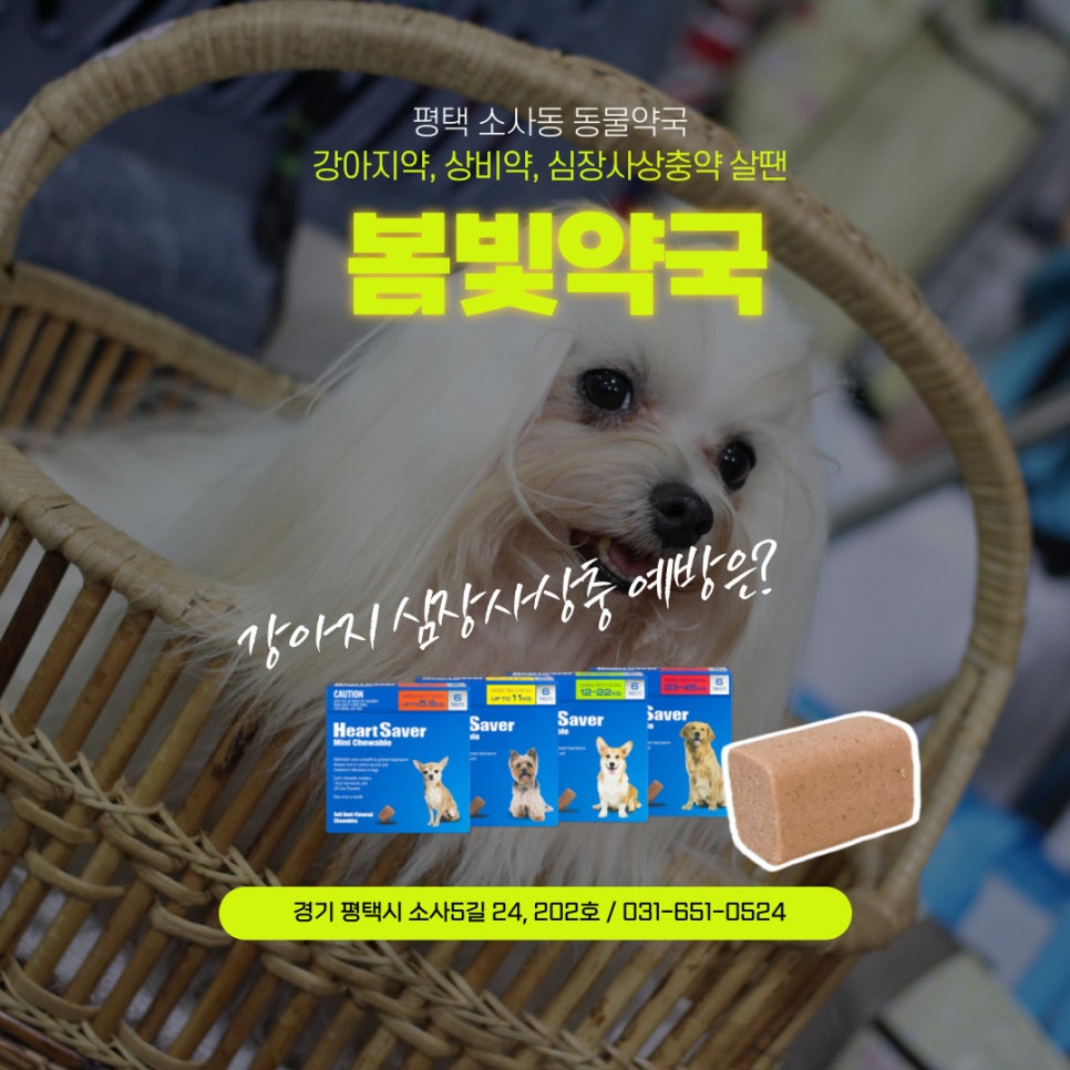 봄빛약국 사진 2