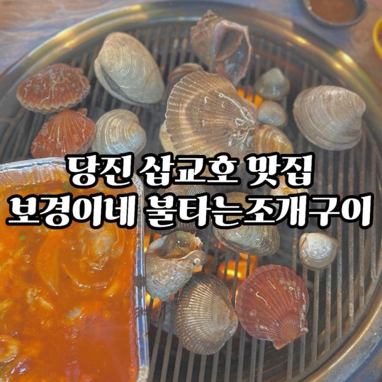  #내돈내먹 [당진맛집] 보경이네 불타는 조개구이 후기 (당진삽교호/조개양/가성비)
