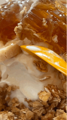  의정부 디저트 맛집 추천 그릭요거트 요거트아이스크림 찐맛집 요걸리
