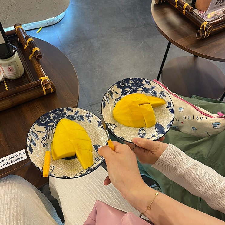  나트랑마사지 샌드스파ㅣ예악,공항픽업,짐보관 총정리