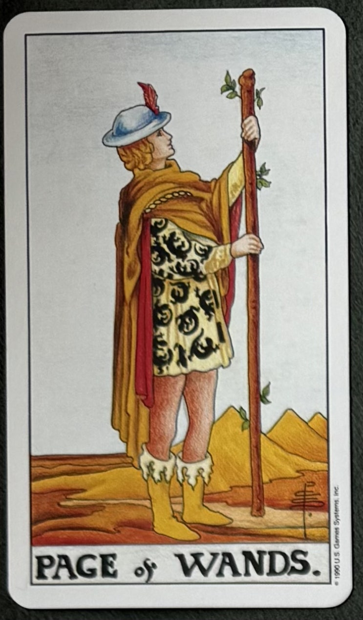 타로 카드 78장 리뷰, 4th 궁정 카드. 지팡이 시종( PAGE OF WANDS )