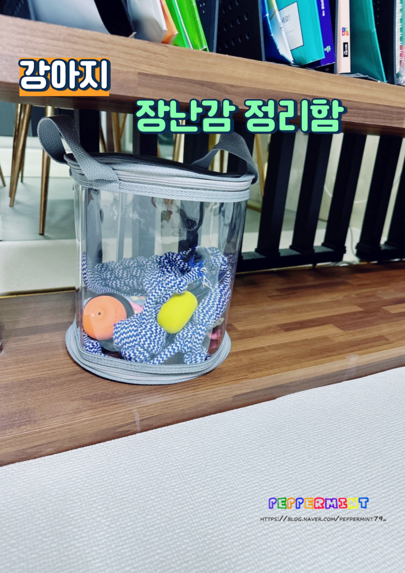 강아지  장난감  정리함으로 정리하고 쉽게 꺼내기