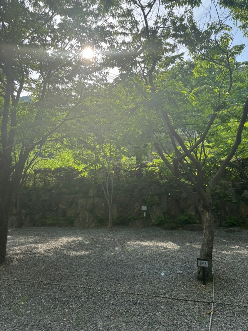 사진 5