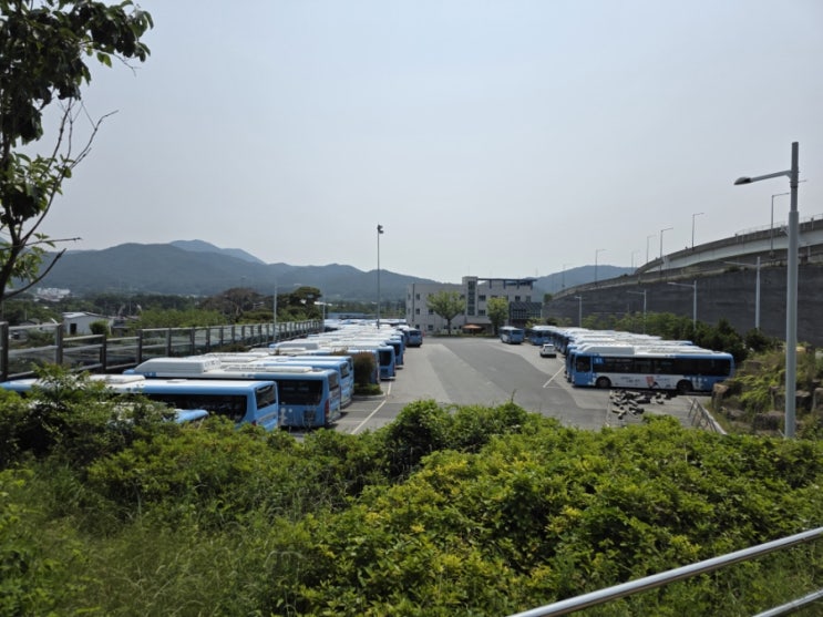 울산 , <b>광주 시내버스 파업</b>.