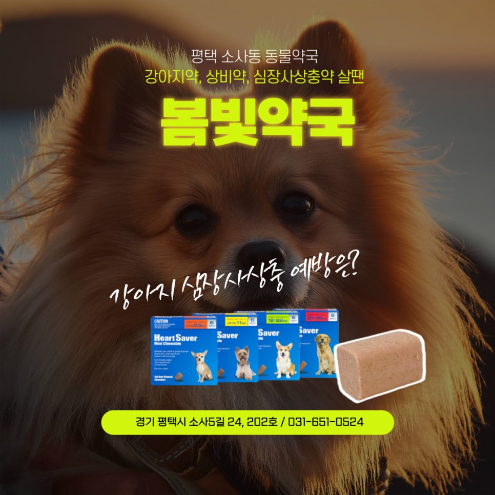 봄빛약국 사진 4